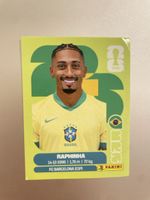 Panini Sticker BRA 19