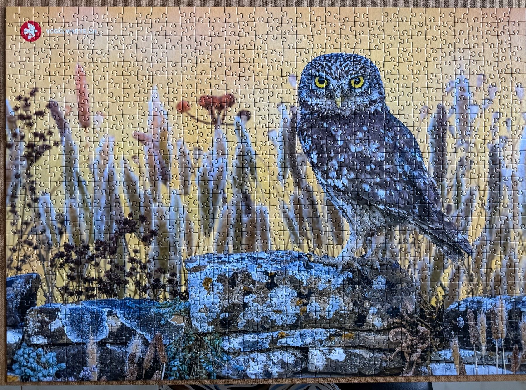 Puzzles: Puzzle 1000 Teile – Neu (gemäss Beschreibung) aus Neerach von Kapstadt08 1