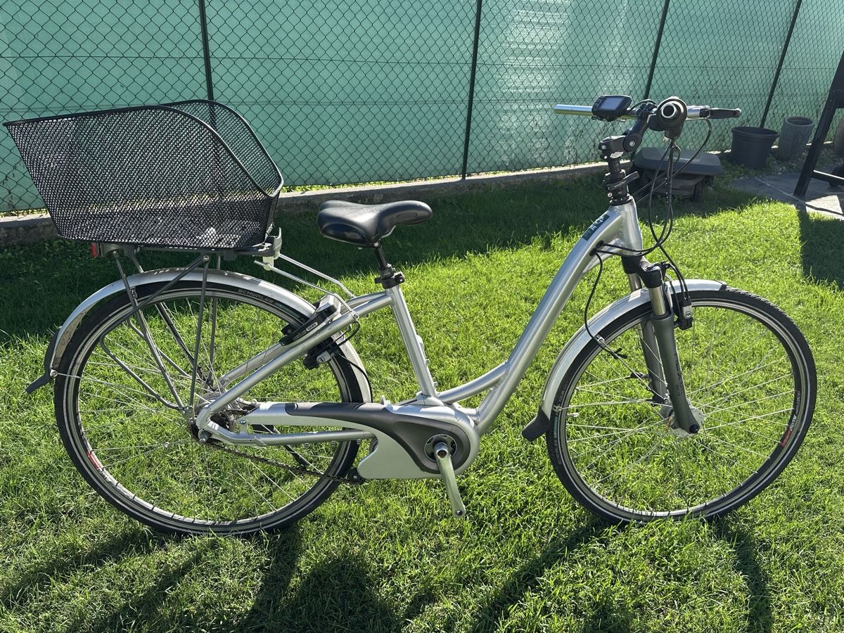 Flyer Biciclette: Auktion e-bike Flyer 36v defekt  – Difettoso da Quartino venduto da DiloUsato 3