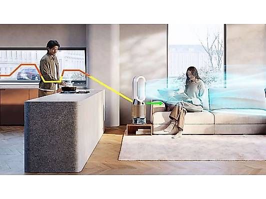 Purificatori d'aria: DYSON PH2 De-NOx PH05 Luftreiniger mit Kühlfunktion  – Usato da Uster venduto da Cappolous 3