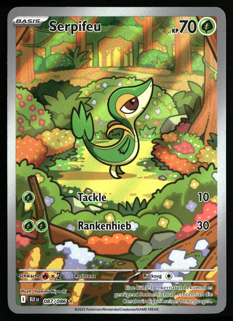 Pokémon Sammelbilder & Trading cards: Serpifeu #87 Pokemon Schwarze Blitze – Gebraucht aus Feuerthalen von Plazatoys