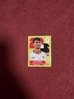 Panini Sticker Manaf Younis Irak Nr. 8