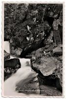 Gorges de l'Avançon, datée 1941-2
