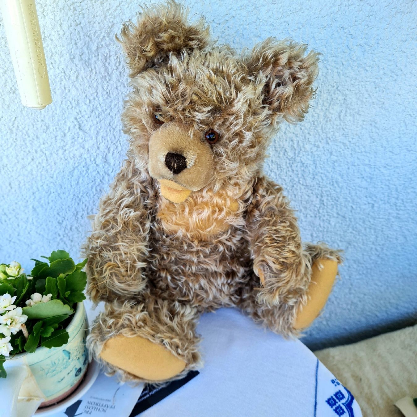 Jouets: Teddybär (Zotty Steiff ? ) – D'occasion à Siebnen par annigannig 4