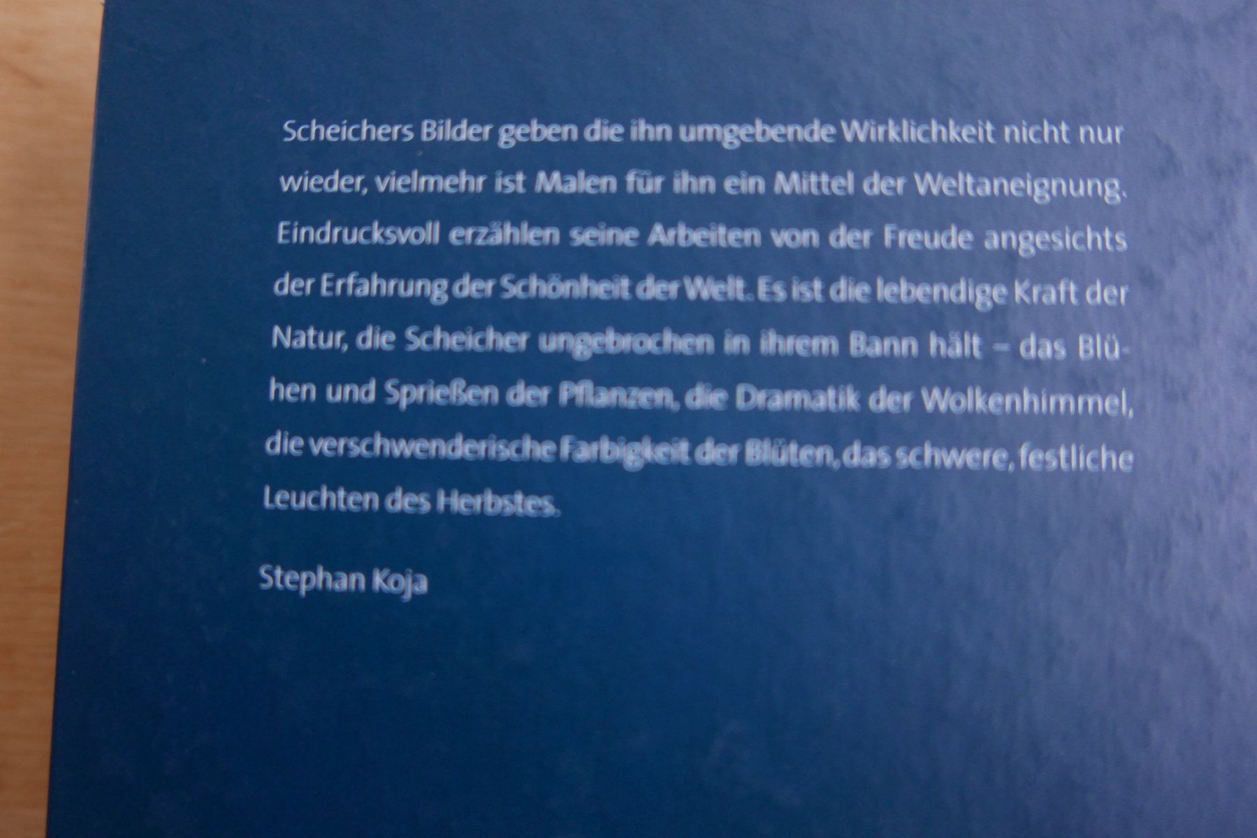 Bücher: Kunstbuch Harald Scheicher Malerei 2010-2014 – Gebraucht aus Rotkreuz von nigal 1