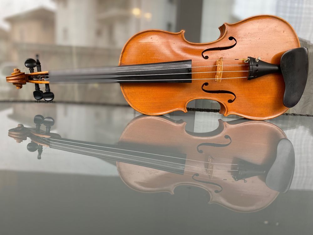 4/4 Geige / Violine | Kaufen auf Ricardo