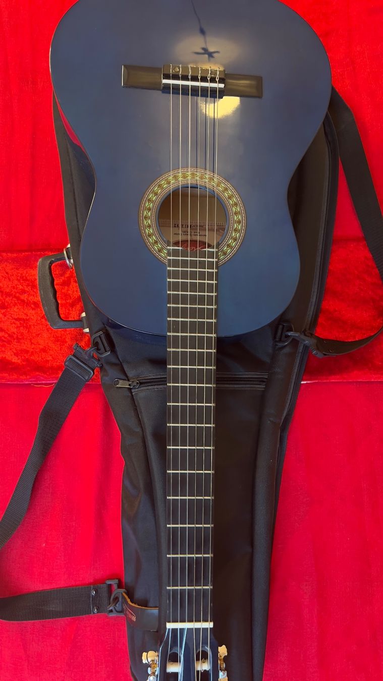 Strumenti musicali: Gitarre blau guter Zustand – Usato da Aathal-Seegräben venduto da ray_x7lz 6