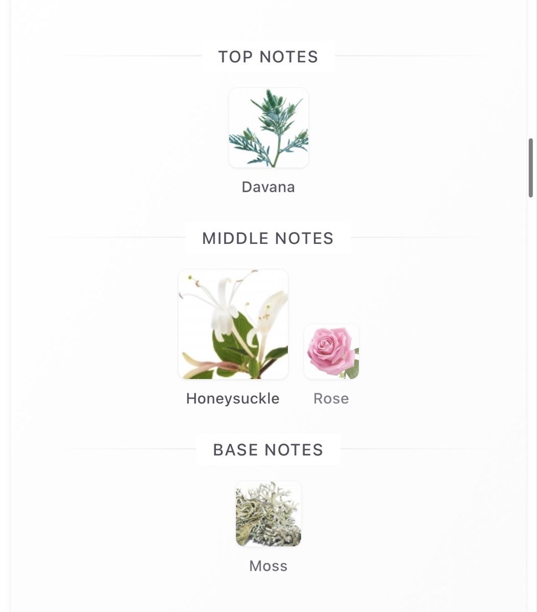 Jo Malone Profumi & Eau de Toilette: Jo Malone Honeysuckle & Davana Eau de Cologne, 100ml – Usato da Zürich venduto da Thetimtam 4