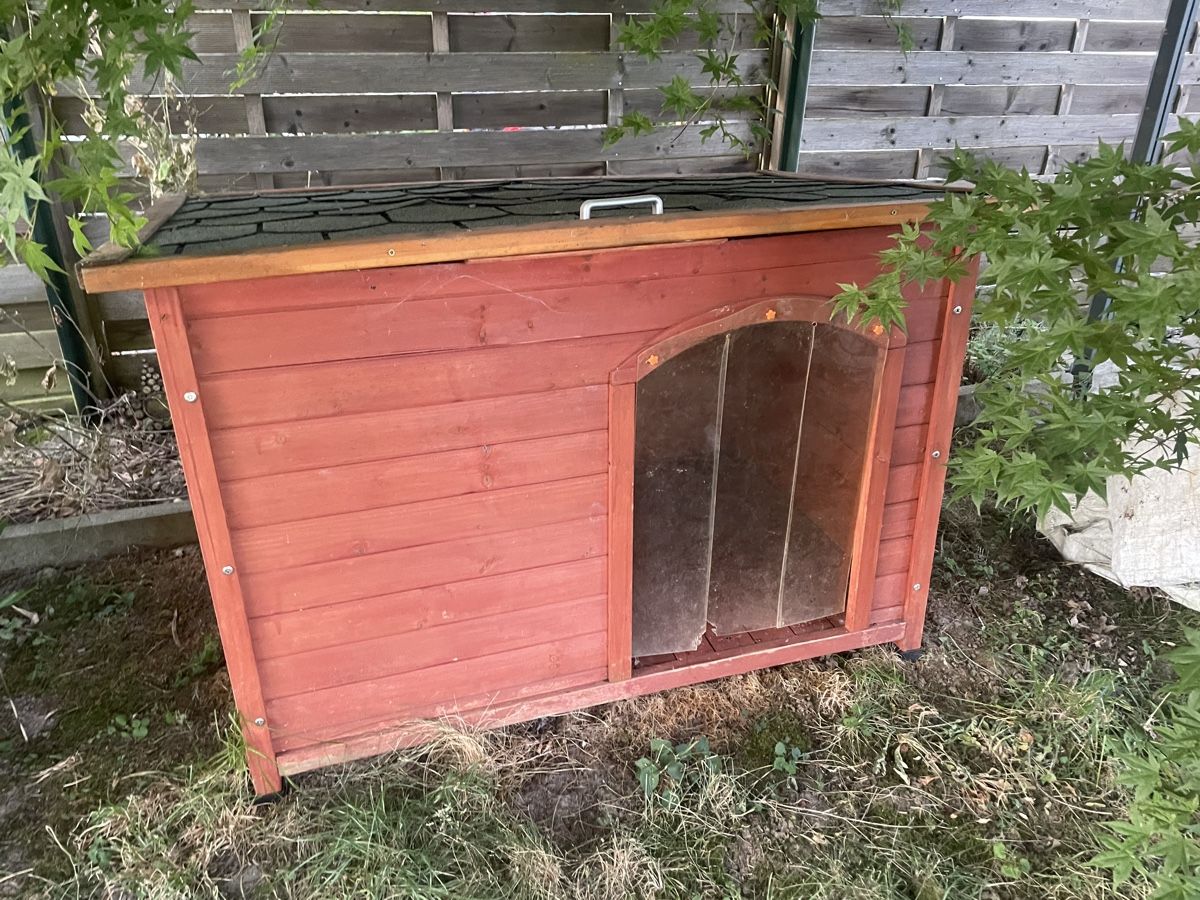 Cucce & Letti: Hundehütte - neues Dach – Usato da Roggwil BE venduto da Mic_86bv