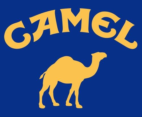 Toutes les décorations: CAMEL Kamel Werbefigur Zigaretten – D'occasion à Zürich par brazerola 8
