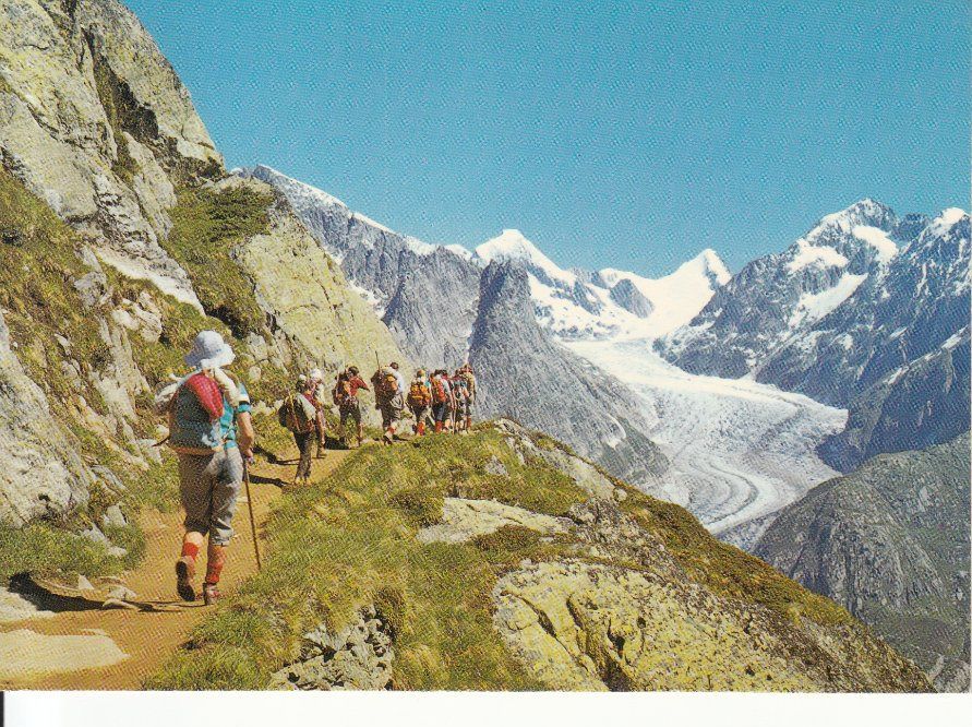 Cartoline postali: Fieschergletscher 1983 – Usato da Bürglen TG venduto da StampGraf