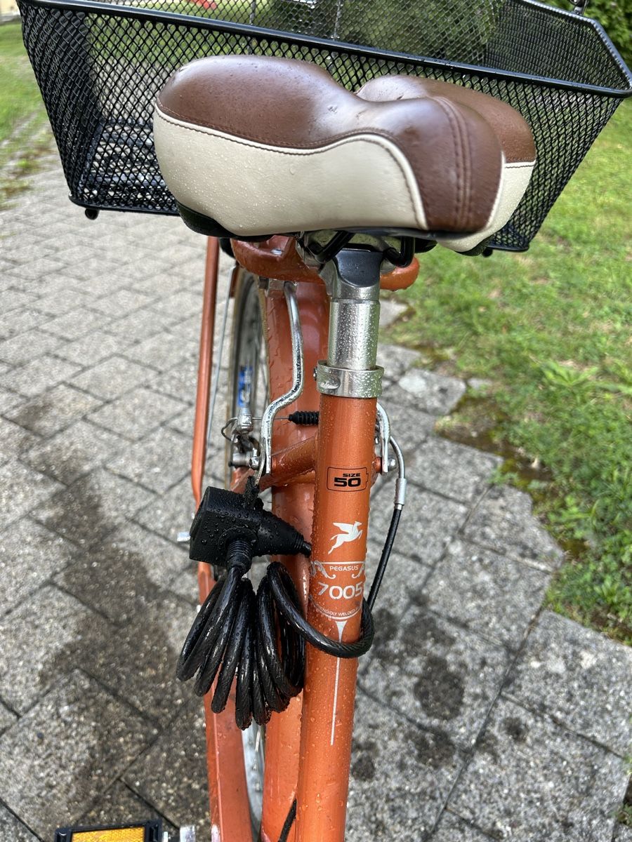 Vélos: Damenvelo Pegasus – D'occasion à Buochs par tam_6lms 5