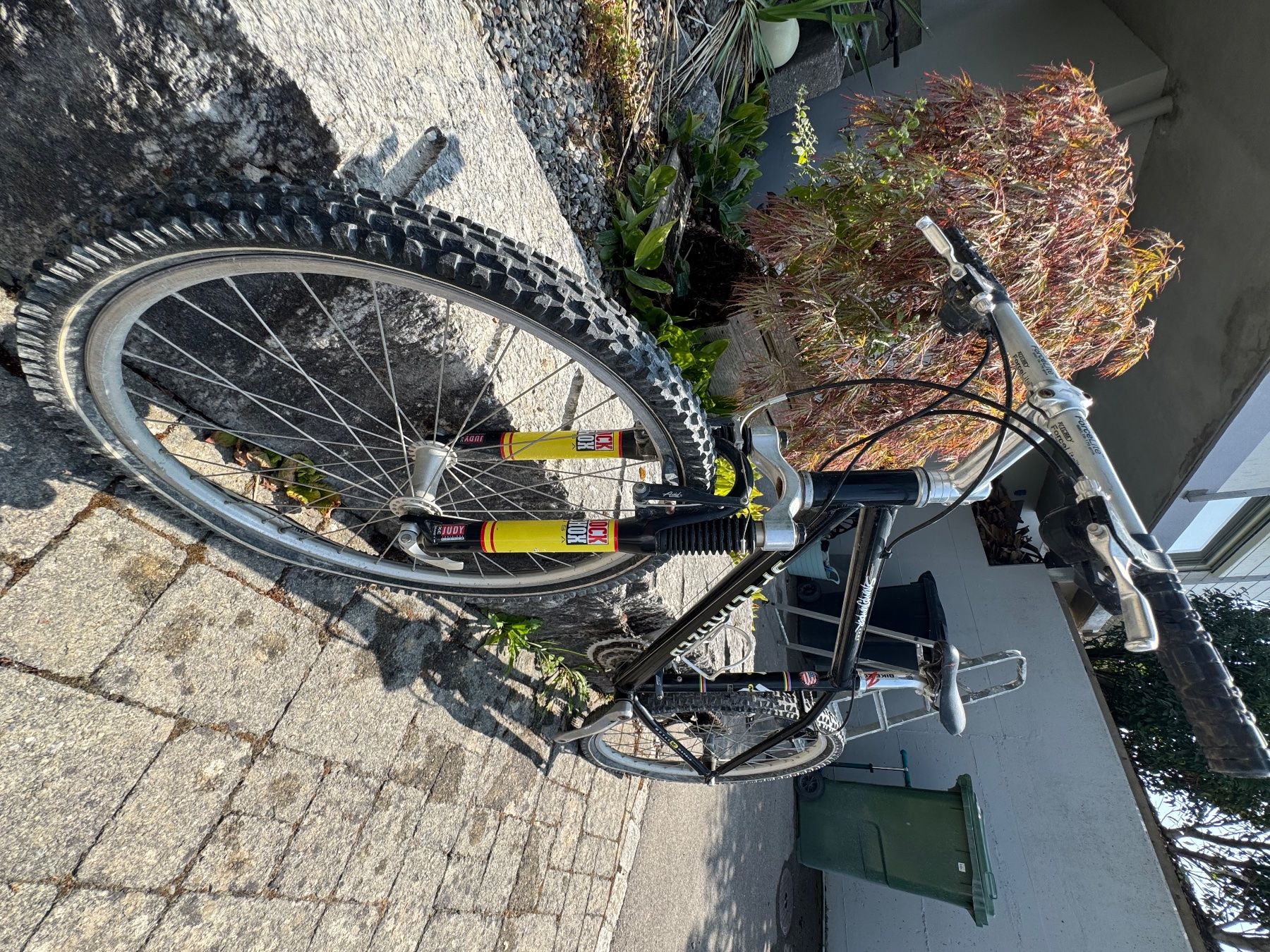 Specialized Velos: Specialized Stumpjumper comp – Gebraucht aus Oberrohrdorf von jenny_vonlanthen 1