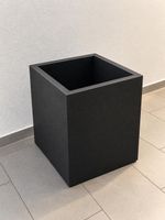Palmentopf Neupreis 100 CHF