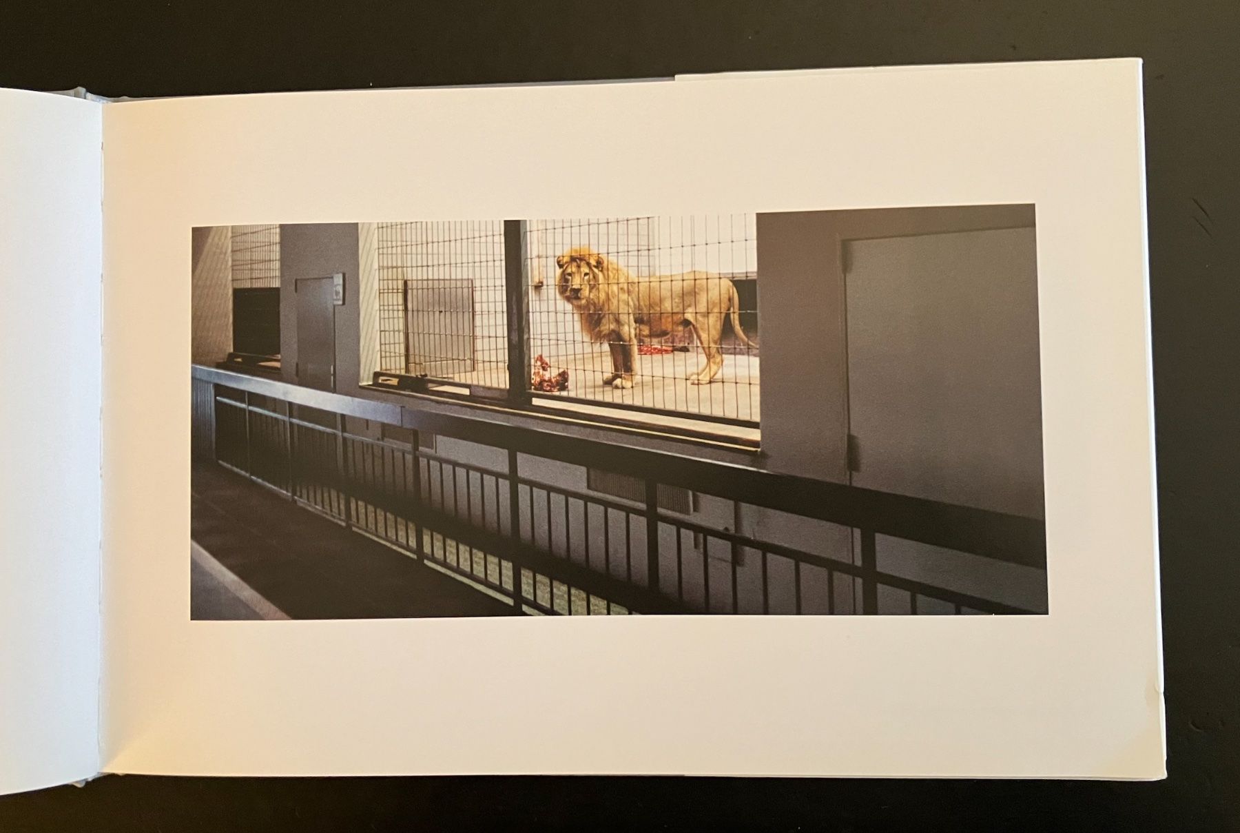 Libri: candida höfer . zoologische gärten – Usato da Basel venduto da cosmos.books 2