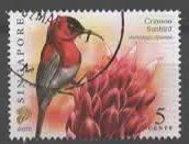 SINGAPORE - Crimson Sunbird   ( Vogel)    (27