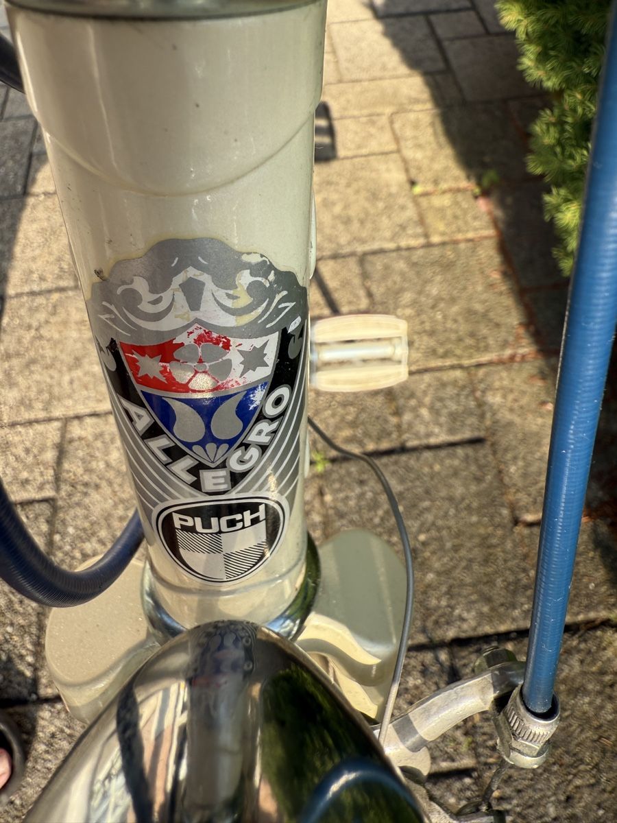 Puch Velos: Allegro Puch Velo,  – Gebraucht aus Eschlikon TG von Montykokino 7