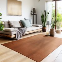-40% 🖤 XXXL Teppich Super Soft 240x340