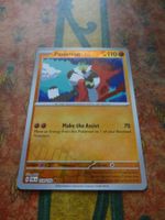 POKEMON  Passimian   G  PAL EN   118/193   HP110   2023