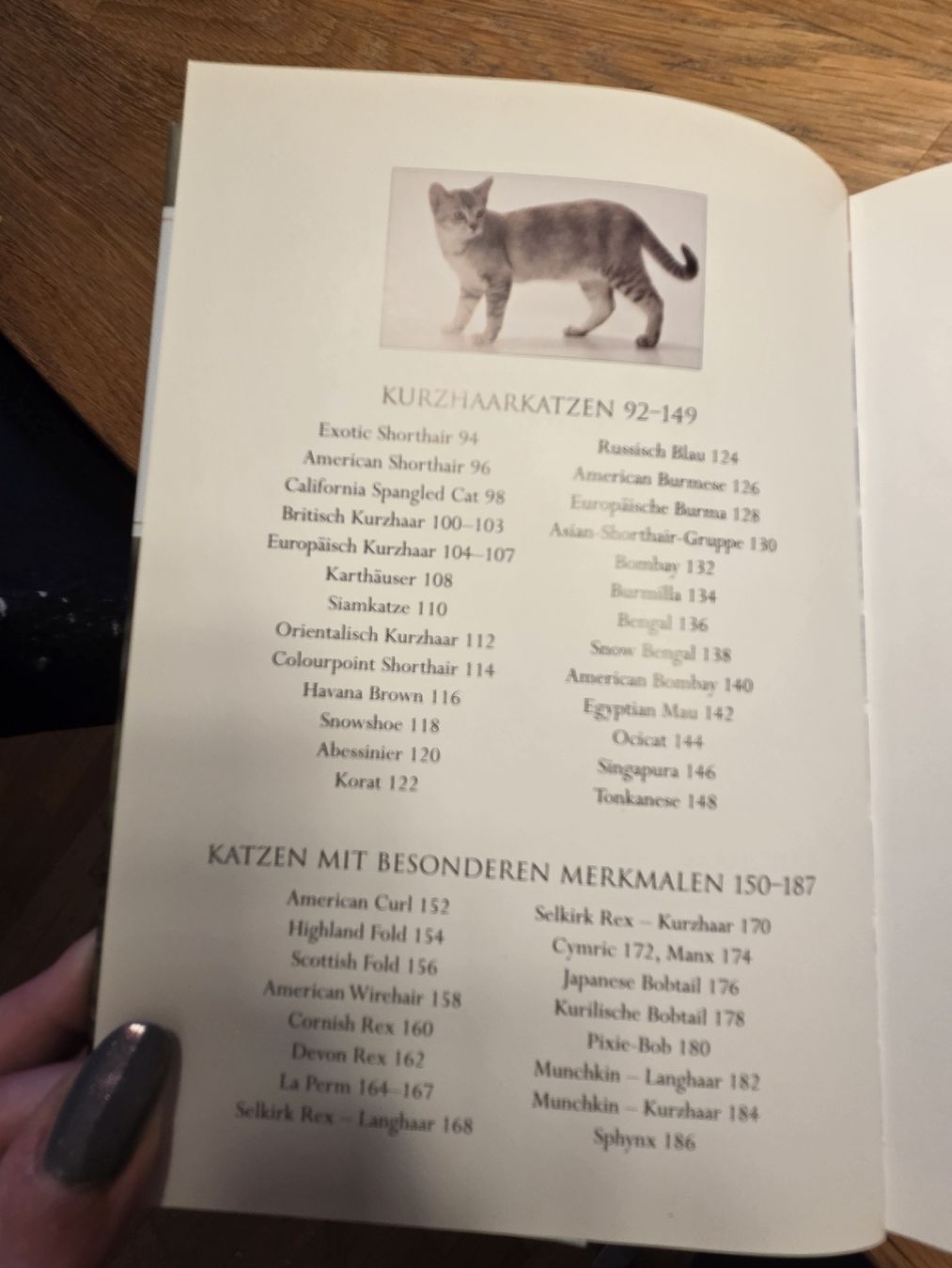 Livres: Katzenbücher – D'occasion à Rafz par leoncupra 3