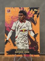 2024-25 Topps Inception Antonio Nusa RB Leipzig Norway /25