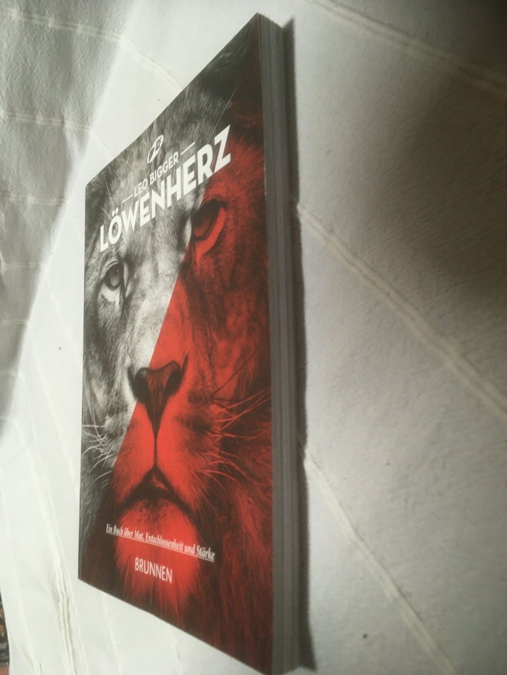 Libri: Löwenherz Taschenbuch – Usato da Marbach LU venduto da Hoheduene 2