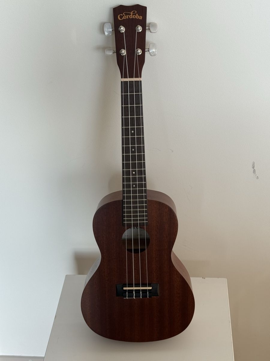 Instruments de musique: Cordoba UP100 Ukulele excellent condition with case – D'occasion à Zürich par ljjud