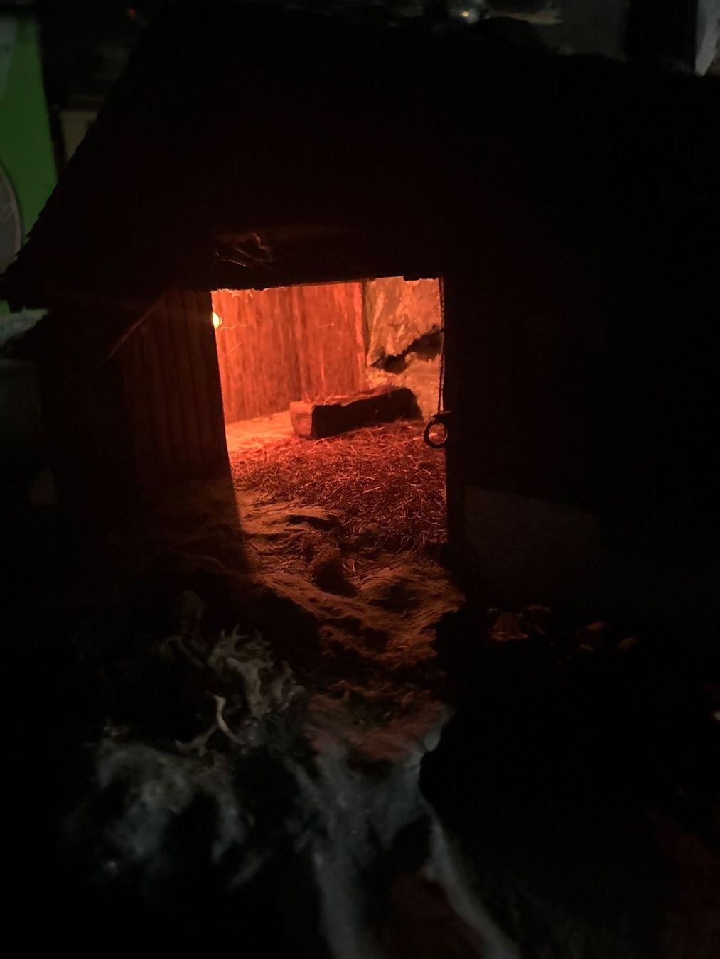 Articoli in legno: Weihnachtskrippe – Usato da Widnau venduto da tgossi 6