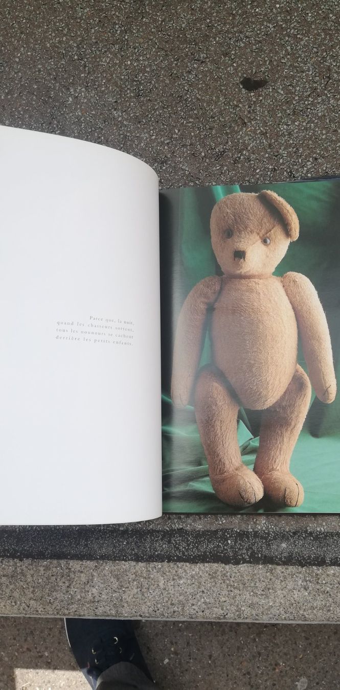 Spielzeuge: Buch: Mon Nounours A Des Bobos – Gebraucht aus Thun von Matthias72 6