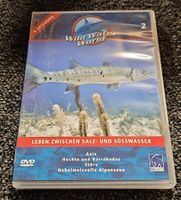 Wild Water World DVD(19531)