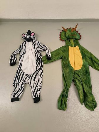 Fasnacht Kostüm 3-4 Jährig 104