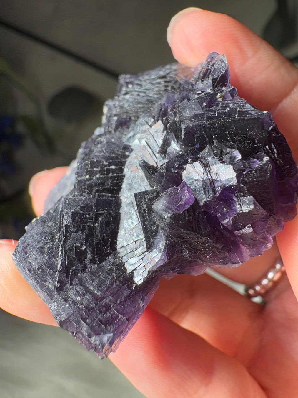 Pietre preziose: Lila Fluorit von Anhui – Nuovo e nell'imballaggio originale da Neuheim venduto da m.hald 4