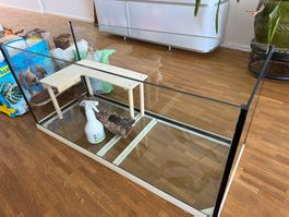 Hamster-Gehege/Terarium mit Accessoires.