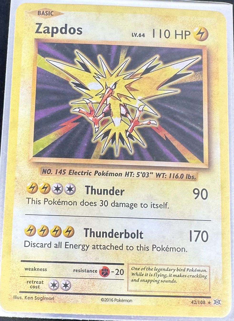 Pokémon Carte collezionabili: Zapdos 42/108 Englisch Pokémon Evolutions Holo Rare – Nuovo (secondo la descrizione) da Dübendorf venduto da TrimTrend 1