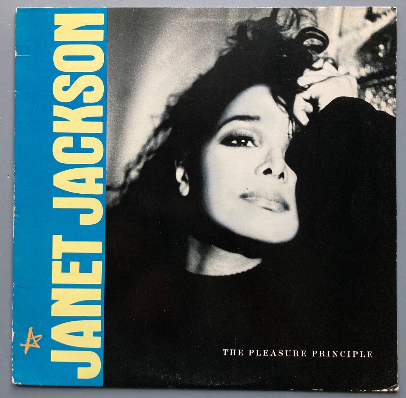 Dischi in vinile: JANET JACKSON - THE PLEASURE PRINCIPLE – Usato da Poliez-Pittet venduto da Newtown-Records