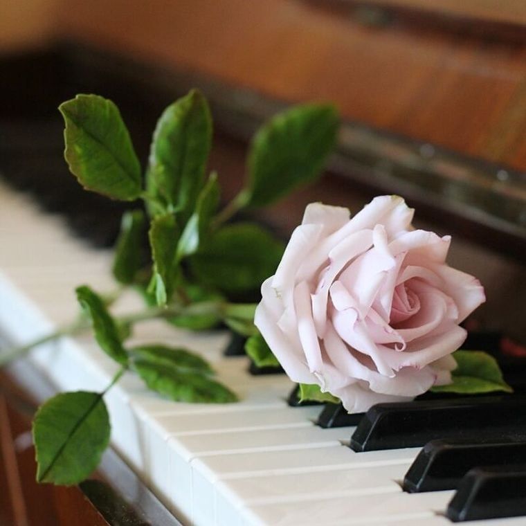 Strumenti musicali: Musik und Vokal Unterrichten – Nuovo (secondo la descrizione) da Leutwil venduto da tat_26y8 2