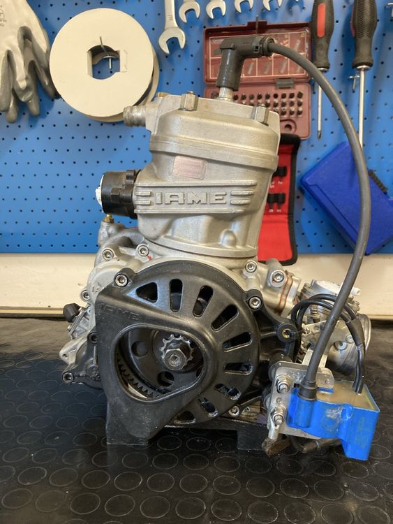 Karts: KART OK1 - IAME X30 SENIOR – D'occasion à Quartino par James27 2