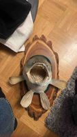 Fischpräparat auf Holzplatte akzeptabler Zustand