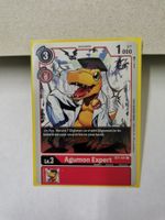 Digimon Agumon Expert BT1-011 C Lv3 2020