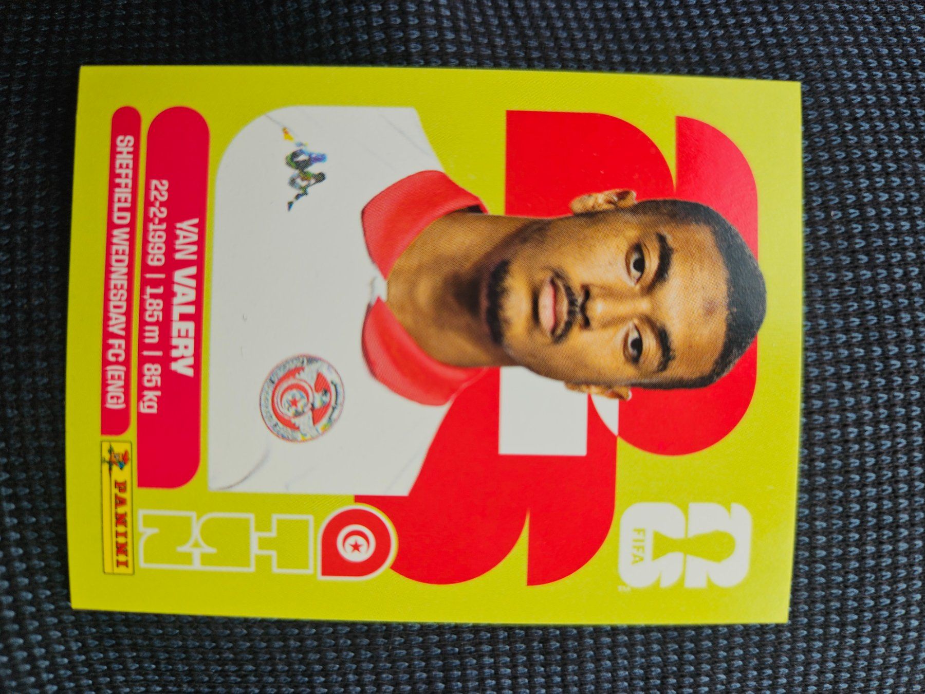 Panini Cartes à collectionner: TUN 4 – D'occasion à Würenlingen par Dinli