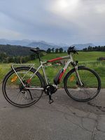 E-Bike Felt Sport-E 50 (2019)