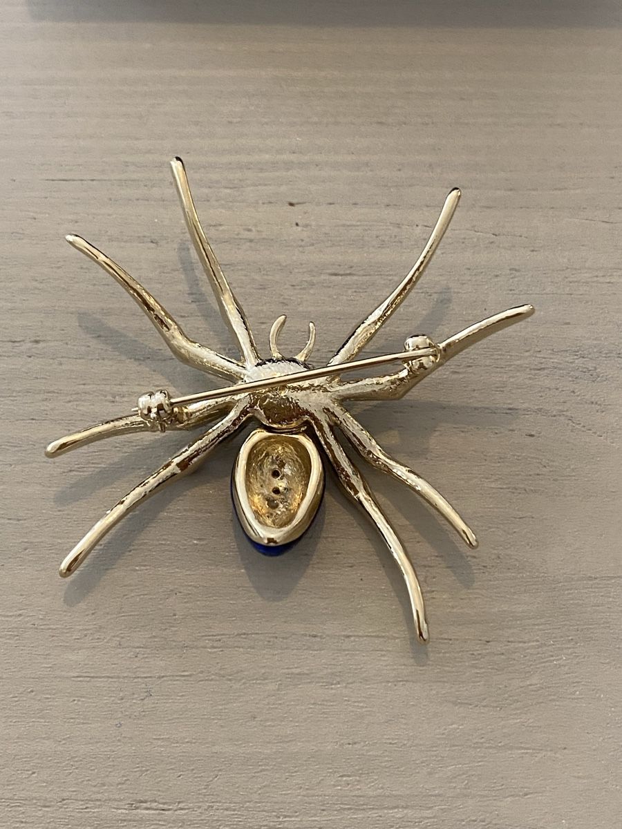 Broschen & Nadeln: Elegante Spinnen-Brosche 🌟🌺🌟🌸 – Gebraucht aus Birr von Vintage-Liebhaber 1
