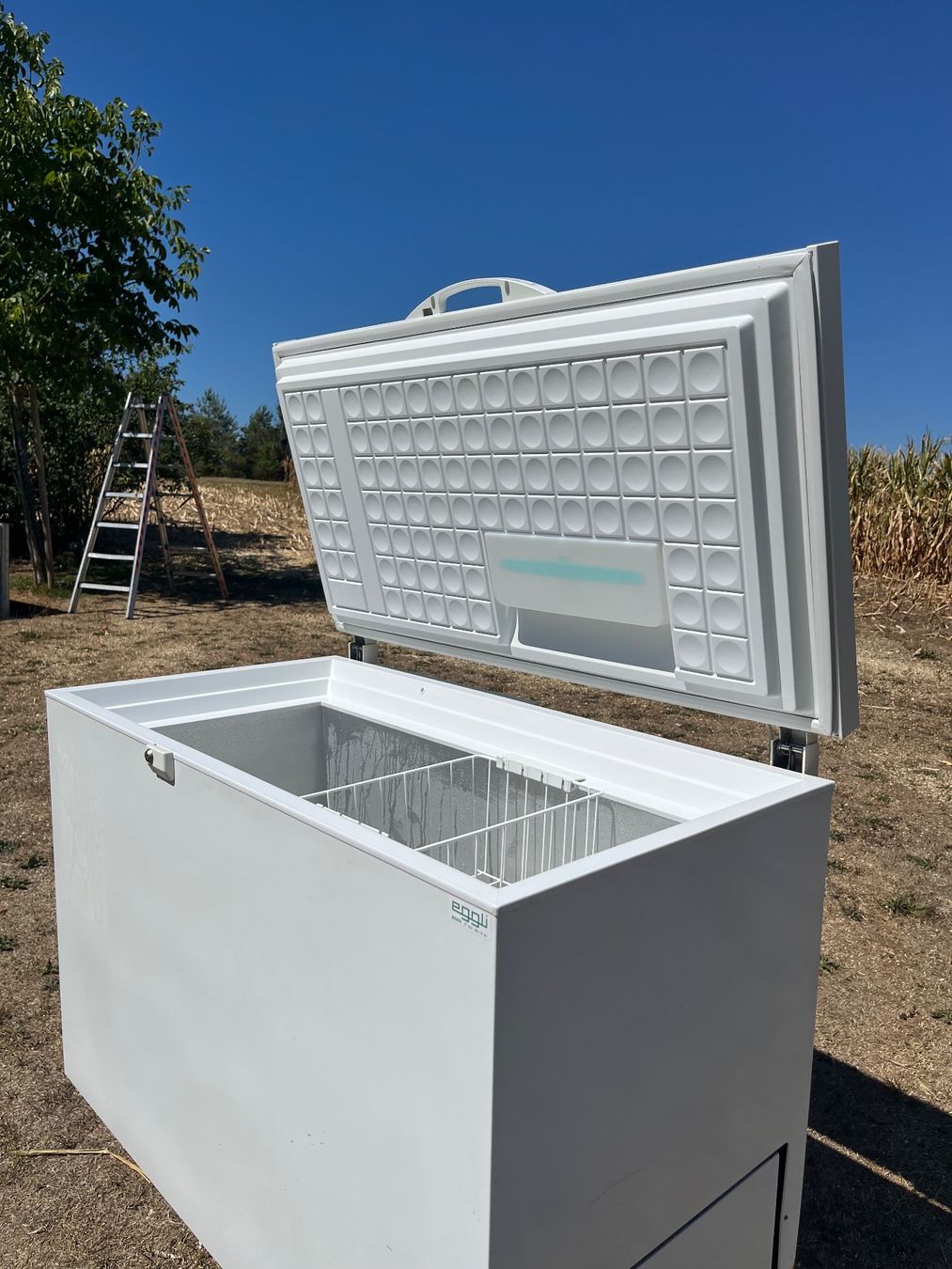 Cassapanche: Tiefkühltruhe Electrolux – Usato da Allmendingen b. BE venduto da juair