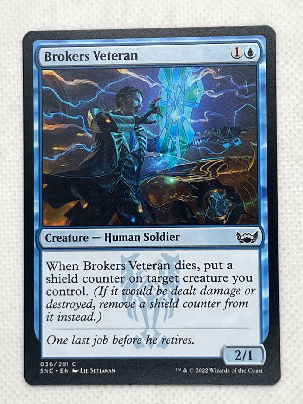 Magic The Gathering Carte collezionabili: MTG Brokers Veteran SNC 036 Englisch Common – Usato da Hinterkappelen venduto da Kim1992