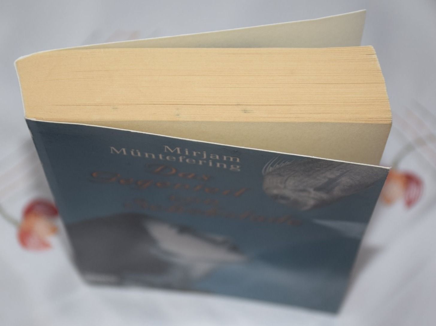 Libri: Das Gegenteil von Schokolade – Usato da Wetzikon ZH venduto da Wetzicardo25 5