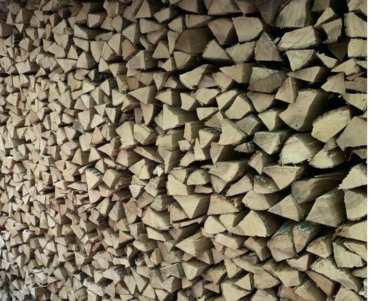 Articoli in legno: Brennholz – Usato da Rossrüti venduto da Radri