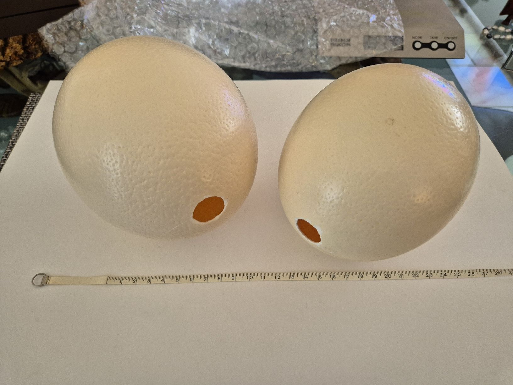 Tutte le decorazioni: Straussen Ei 2 Stück Zustand Eier Basteln Ostern – Usato da Russikon venduto da eunicetungol 4