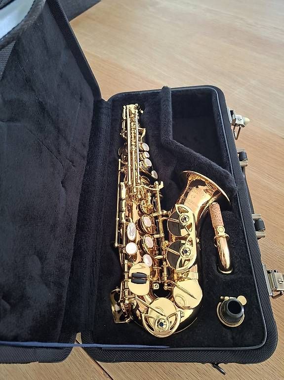 Strumenti musicali: Saxophone soprano courbe  – Usato da AIGLE venduto da jua_7np8