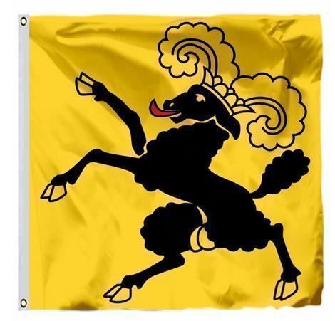 Fahnen: Schweizer Flagge des Kantons Schaffhausen, 90x90cm – Neu und originalverpackt aus Gurmels von Swisspod