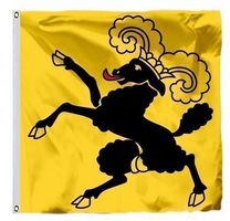 Schweizer Flagge des Kantons Schaffhausen, 90x90cm